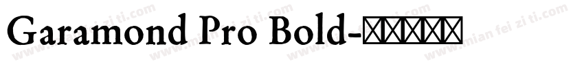 Garamond Pro Bold字体转换